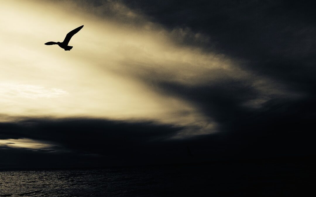 7 rebuilding lessons from Noah